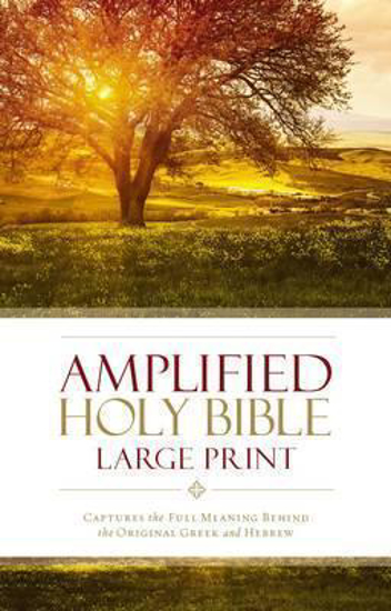 Picture of Amplified Bible Hardcover Large Print by Zondervan