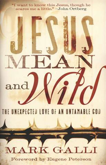 Picture of Jesus Mean and Wild by Mark Galli