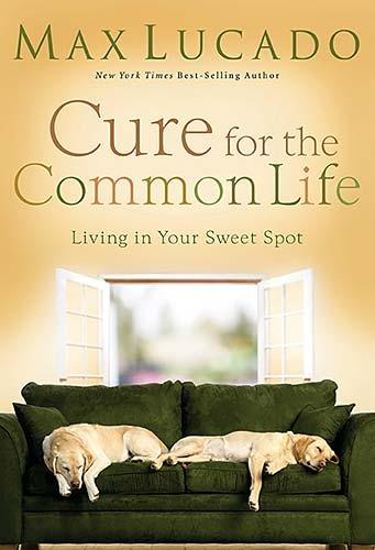 Picture of Cure For The Common Life by Max Lucado