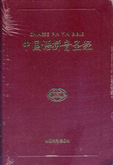 Picture of Chinese Pin Yin Bible