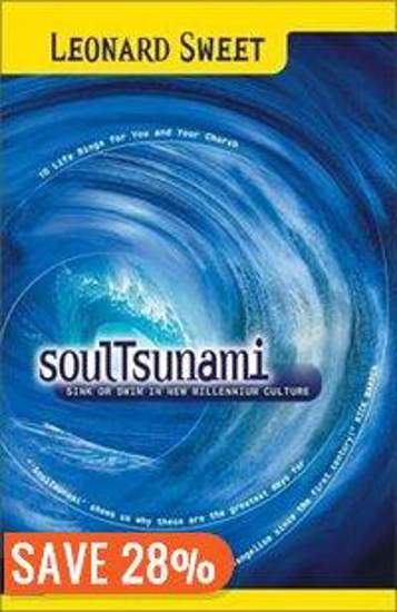 Picture of SoulTsunami by Leonard Sweet