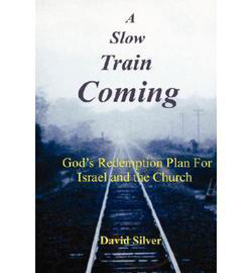 Picture of Slow Train Coming by David Silver