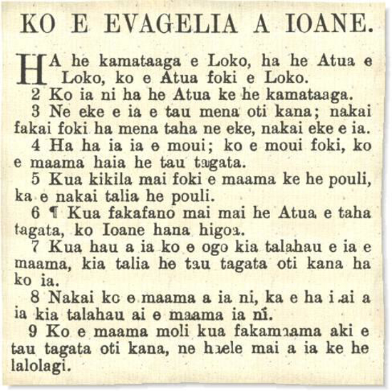 Picture of Koe Tohi Tapu (Niuean Bible)