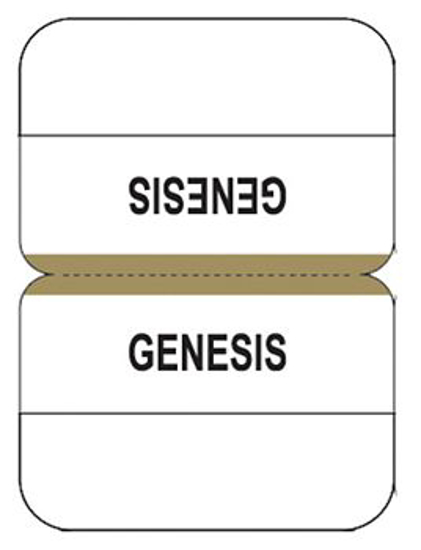 Picture of Bible Indexing Tabs Standard Gold