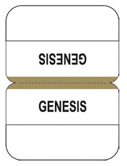 Picture of Bible Indexing Tabs Standard Gold