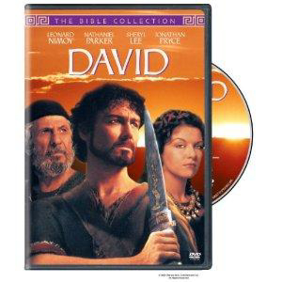 Picture of David: The Time Life Bible Series