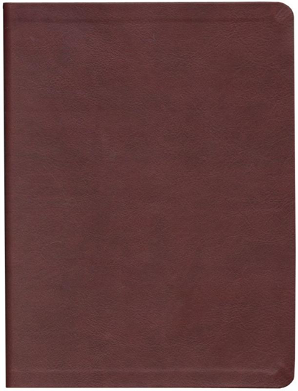 Picture of Message Bible: Large Print Edition, Burgundy Leather-look