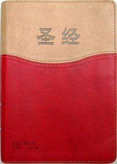 Picture of Chinese Simplified Script Bible