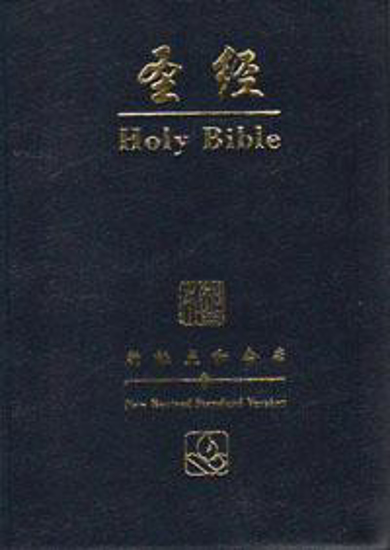 Picture of Chinese/English Bible