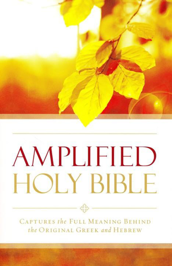 Picture of Amplified Bible,  paperback by Zondervan
