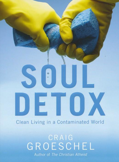Picture of Soul Detox by Craig Groeschel