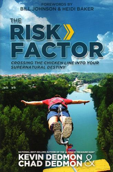 Picture of The Risk Factor by Kevin Dedmon