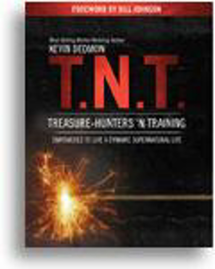 Picture of T.N.T. - Treasure Hunters In Training by Kevin Dedmon