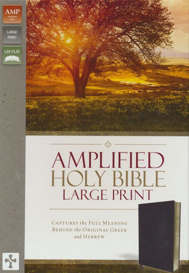 Picture of Amplified Bible Large Print Bonded Leather Burgundy by Zondervan Publishing House