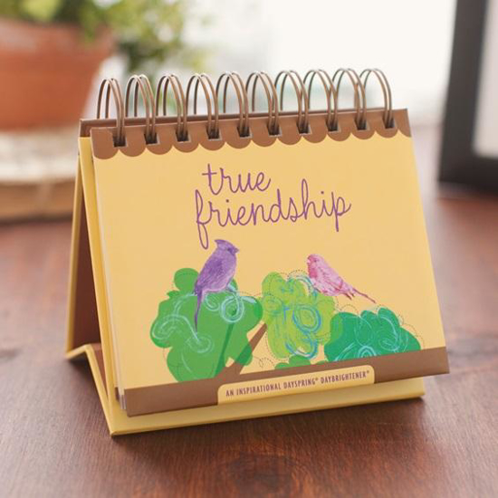 Picture of True Friendship - 365 Day Perpetual Calendar by DaySpring