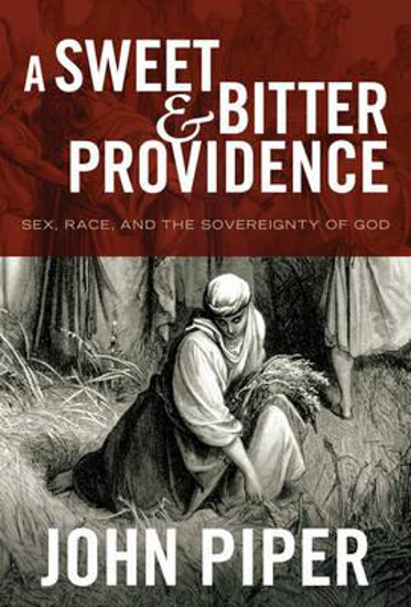 Picture of Sweet and Bitter Providence by Piper John