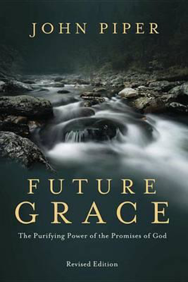 Picture of Future Grace by Piper John