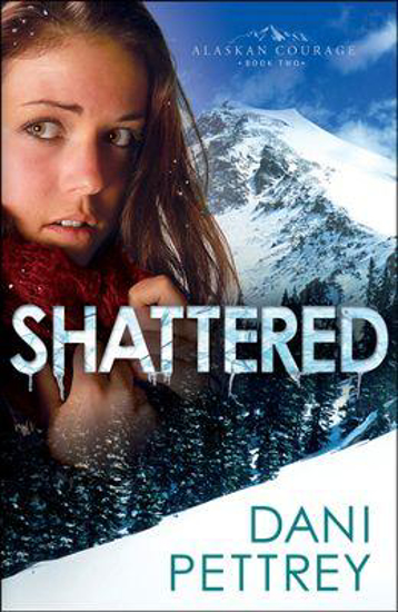 Picture of Shattered #2 by Pettrey Dani