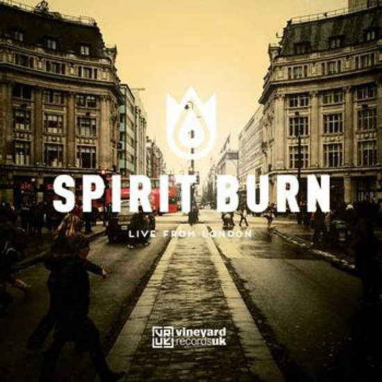 Picture of Spirit Burn by Vineyard UK