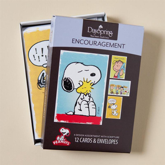 Picture of Encouragement, peanuts- Boxed Cards by DaySpring