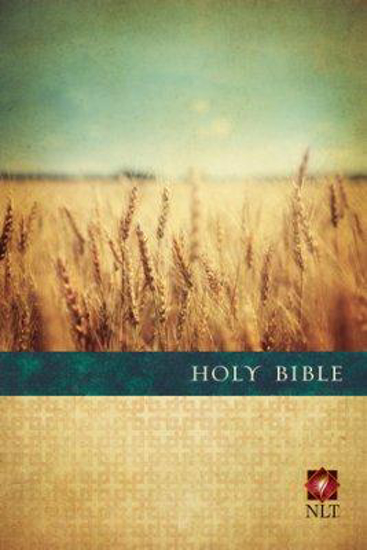 Picture of NLT Bible Premium Value Slimline Large Print Paperback by Tyndale