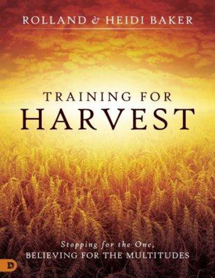 Picture of Training for Harvest: Stopping for the One, Believing for the Multitudes by Rolland & Heidi Baker
