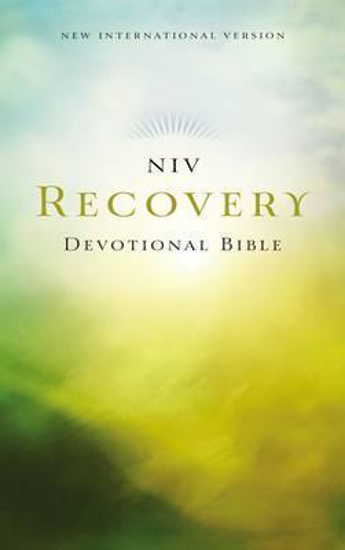 Picture of NIV Bible 2011 Devotional Recovery Paperback by Zondervan
