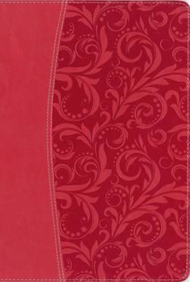 Picture of NIV Bible 2011 Study Quest Duotone Coral