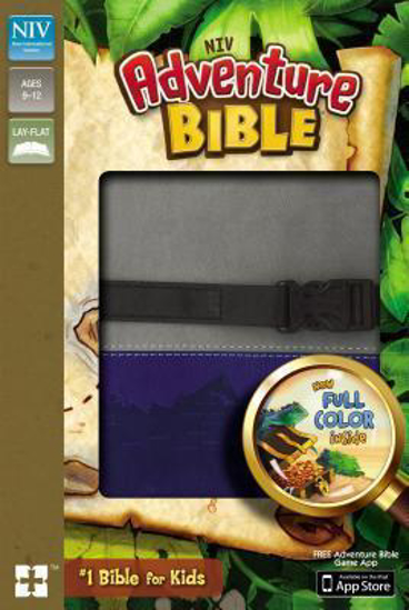 Picture of NIV Bible Adventure Duotone Grey Blue