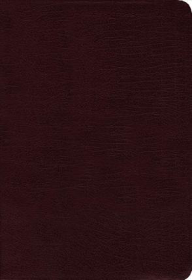 Picture of NIV/NKJV/NLT/Message Bible 2011 Parallel Contemporary Comparative Bonded Leather Burgundy