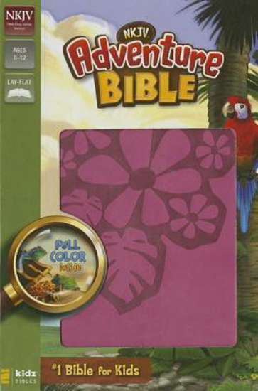 Picture of NKJV Bible Adventure Duotone Raspberry