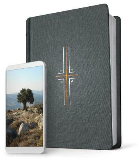 Picture of NLT Filament Bible Grey Cloth HC