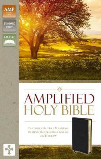 Picture of Amplified Bible Revised Edition Bonded Leather Black