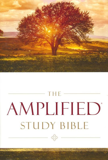 Picture of Amplified Study Bible, Hardcover by Zondervan