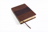 Picture of CSB Apologetics Study Bible Mahogany Leathertouch Indexed