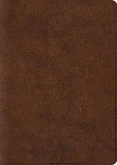 Picture of ESV Archaeology Study Bible Brown