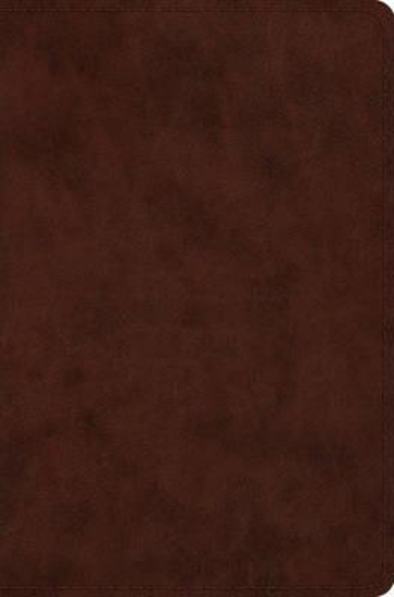 Picture of ESV Bible Compact Trutone Brown