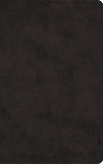 Picture of ESV Bible Devotional Men's Trutone Black