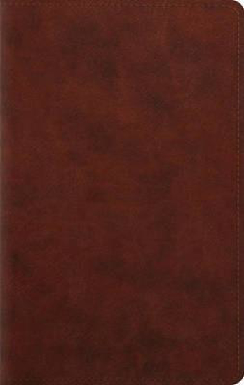 Picture of ESV Bible Large Print Personal Trutone Chestnut