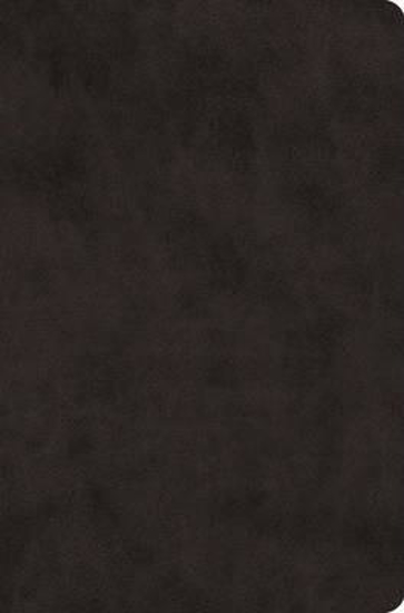 Picture of ESV Bible Value Compact Trutone Black