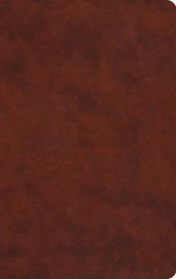 Picture of ESV Bible Value Thinline Trutone Chestnut