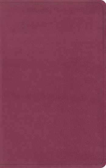 Picture of ESV Bible Value Thinline Trutone Pink