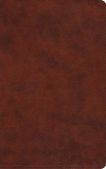 Picture of ESV New Testament with Psalms and Proverbs Vest Pocket Trutone Chestnut