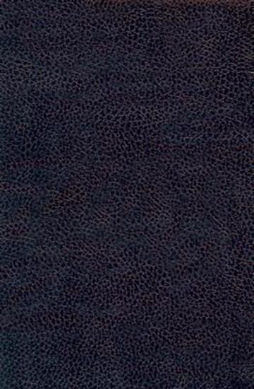 Picture of KJV Bible Reference Thomp Chain Leather Black