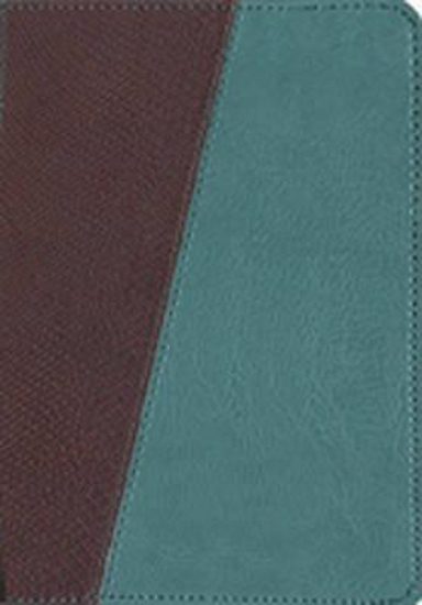 Picture of Message Bible Compact Leatherlook Teal Brown Python