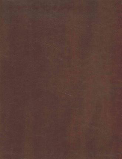 Picture of MEV Bible Giant Print Brown