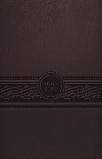 Picture of MEV Bible Personal Large Print Cherry Brown