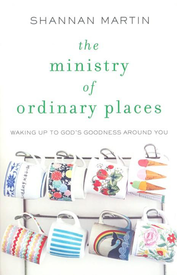 Picture of Ministry of Ordinary Places by Shannan Martin
