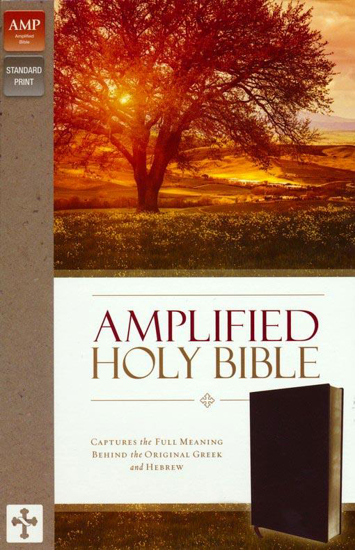 Picture of Amplified Holy Bible--bonded leather, burgundy (indexed) by Zondervan