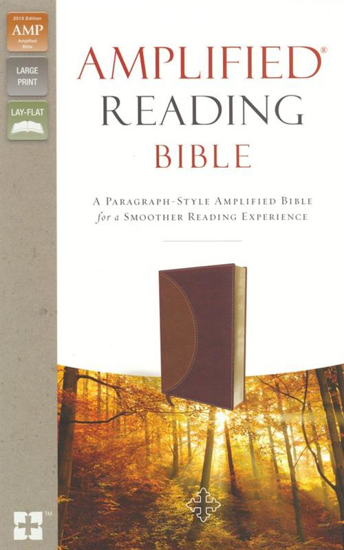 Picture of Amplified Reading Bible, Imitation Leather, Brown, Indexed by Zondervan